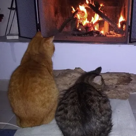 شقة Fouli Aspro Chorio