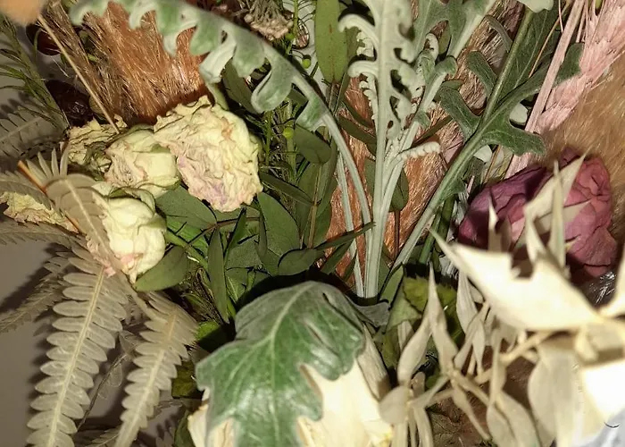 Fouli Apartamento Aspro Chorio